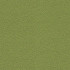 Xtreme Olive