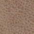 Hunter Natural 200